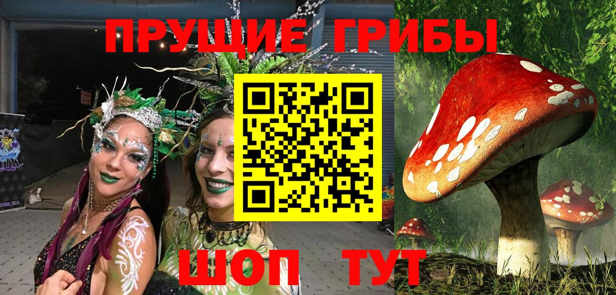 Псилоцибиновые грибы ЛСД  Вход с VPN  как найти закладки  Саянск 