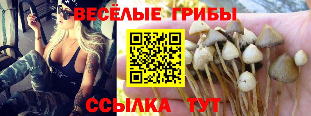 Псилоцибиновые грибы GOLDEN TEACHER Саянск